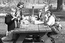 Picnic Table - Outdoor Furniture circa 1964 - Nashville Billiard & Patio Blog 
